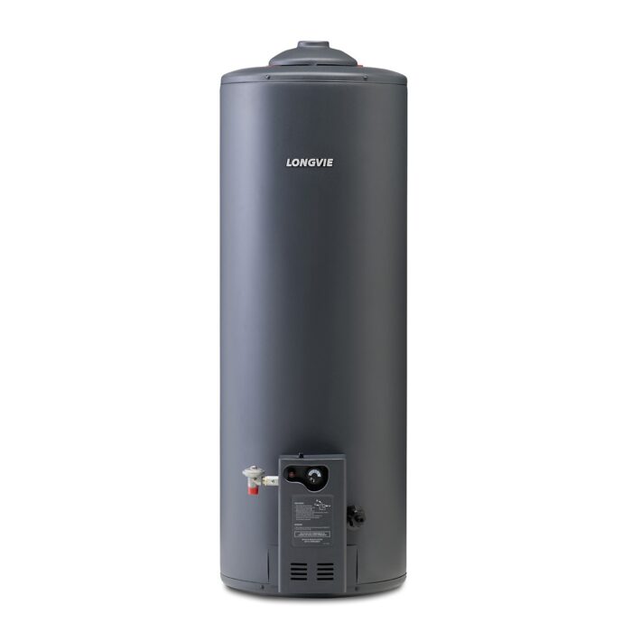 Longvie T4110 Termo AEE Gas Pie 110lts 1